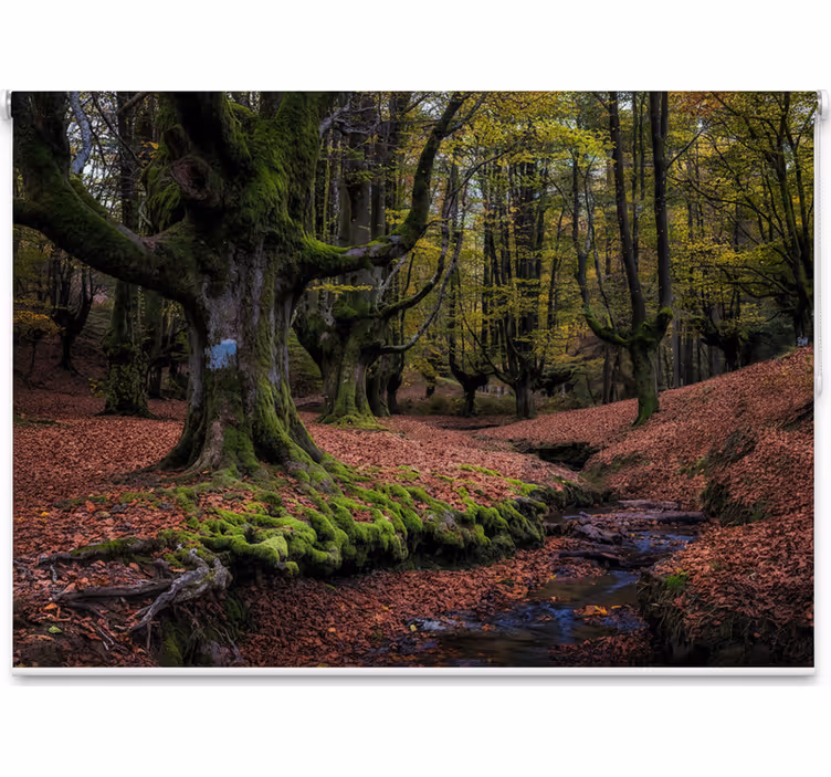 Tree blind enchanted autumn forest - TenStickers