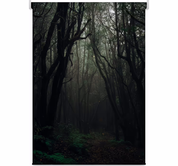 Tree blind in enchanted shadowed forest - TenStickers
