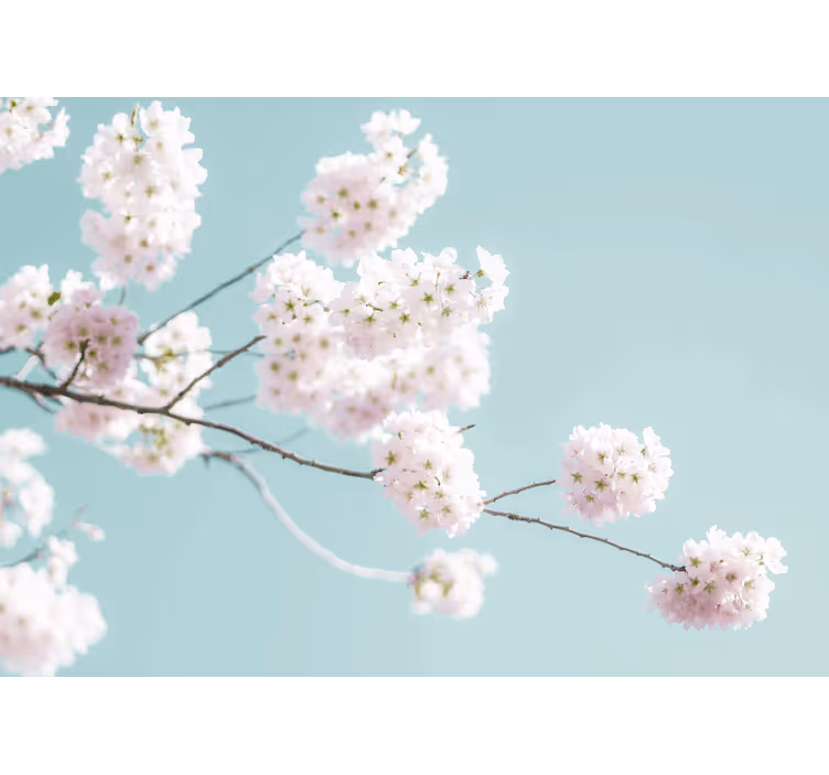 Blind kitchen elegant and feminine white flower design - TenStickers