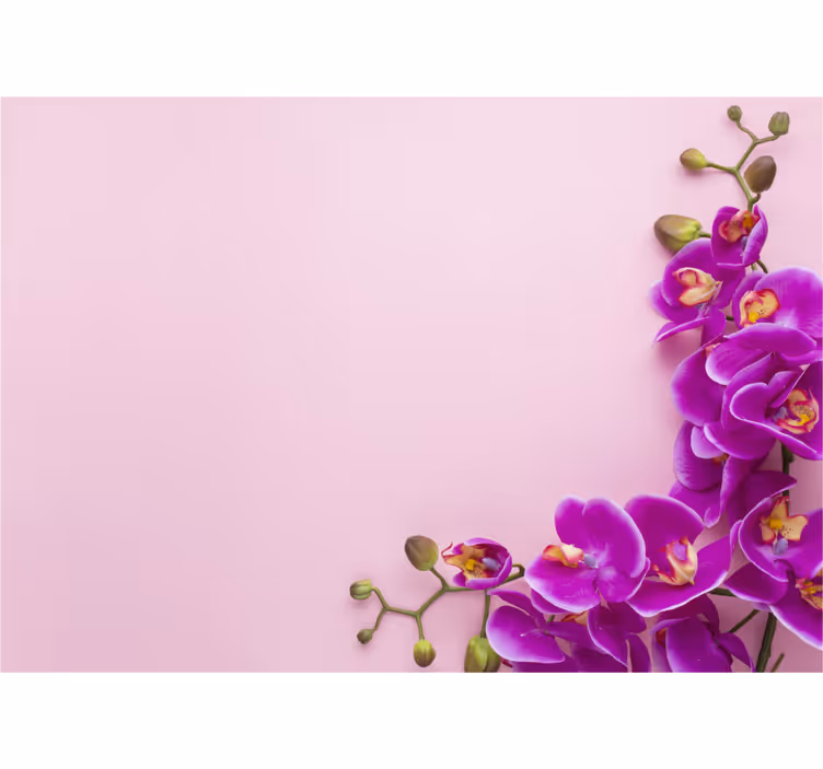 Blind kitchen pink background with orchid design - TenStickers
