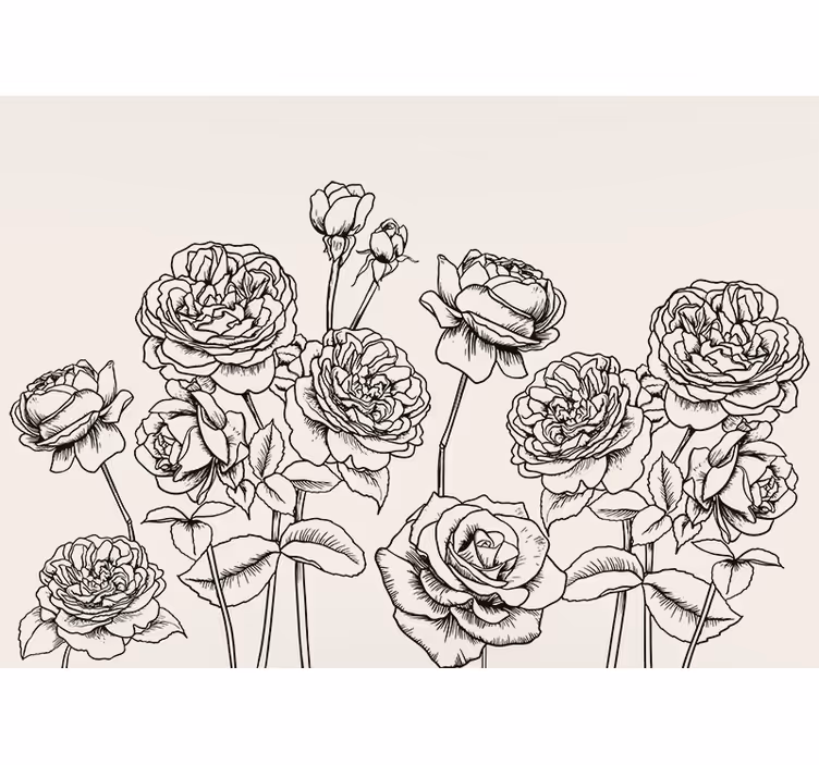 Blind kitchen black and white hand-drawn roses - TenStickers