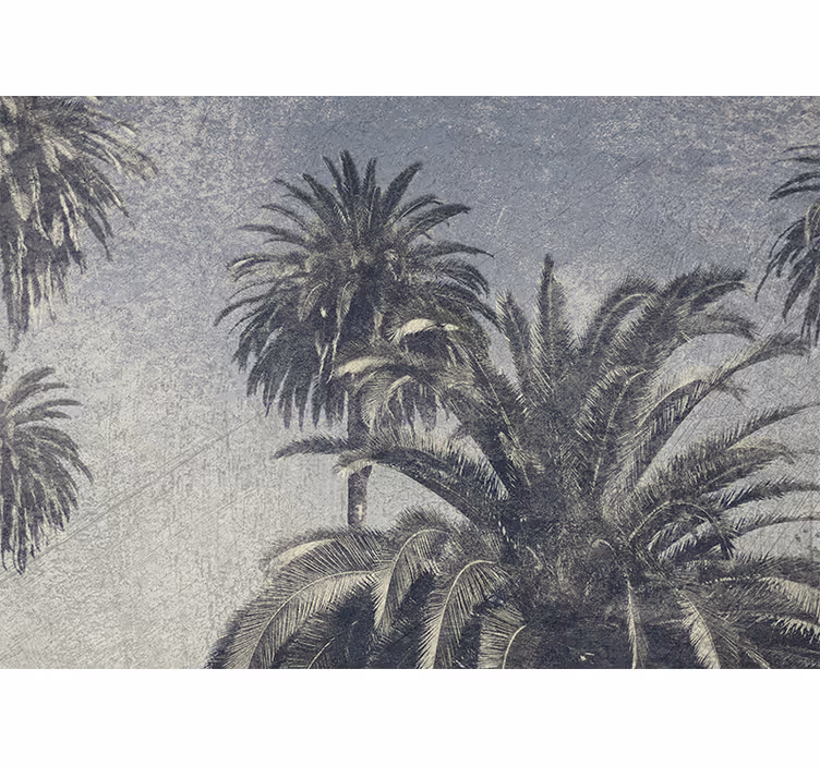 Blind kitchen gray sketch palm trees - TenStickers