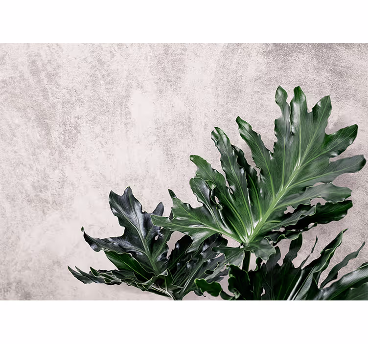 Blind kitchen with green leaves on concrete - TenStickers
