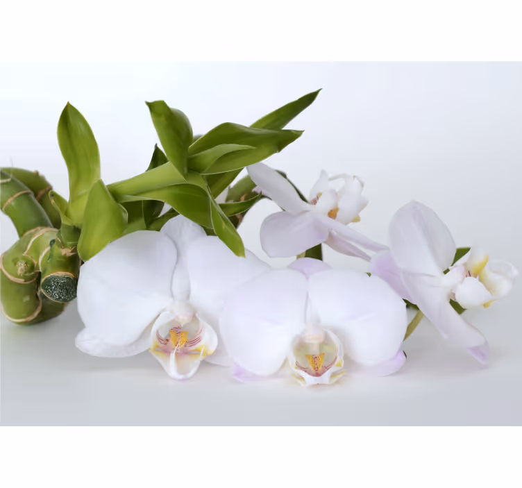White window blind with green orchid design - TenStickers