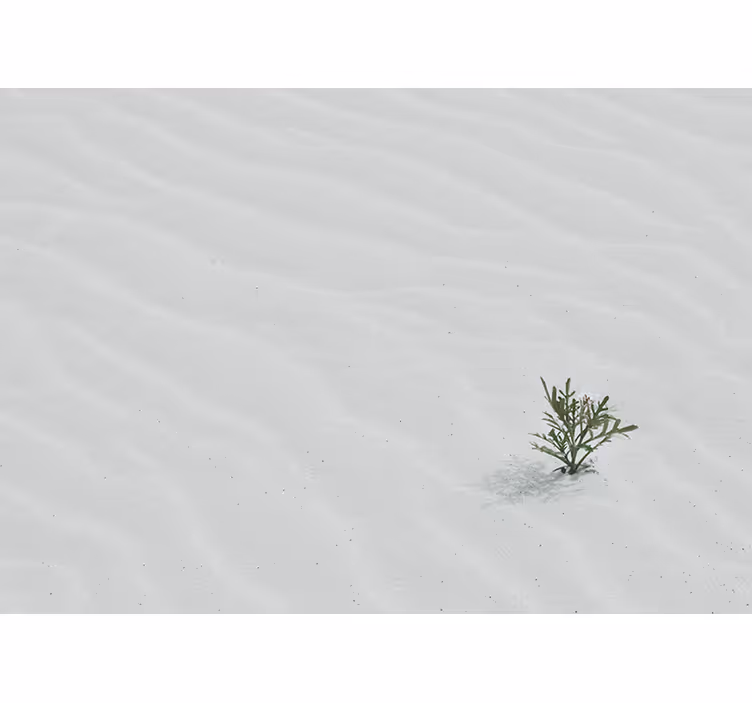 White window blind white desert sand - TenStickers