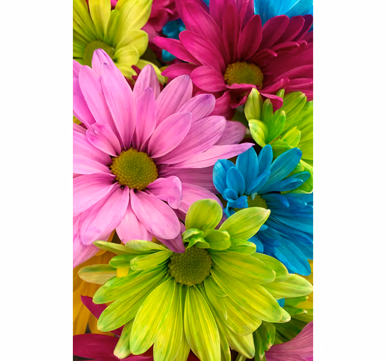 Colorful flowers living room blind - TenStickers