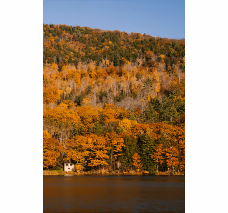 Living room blind lake and golden trees design - TenStickers