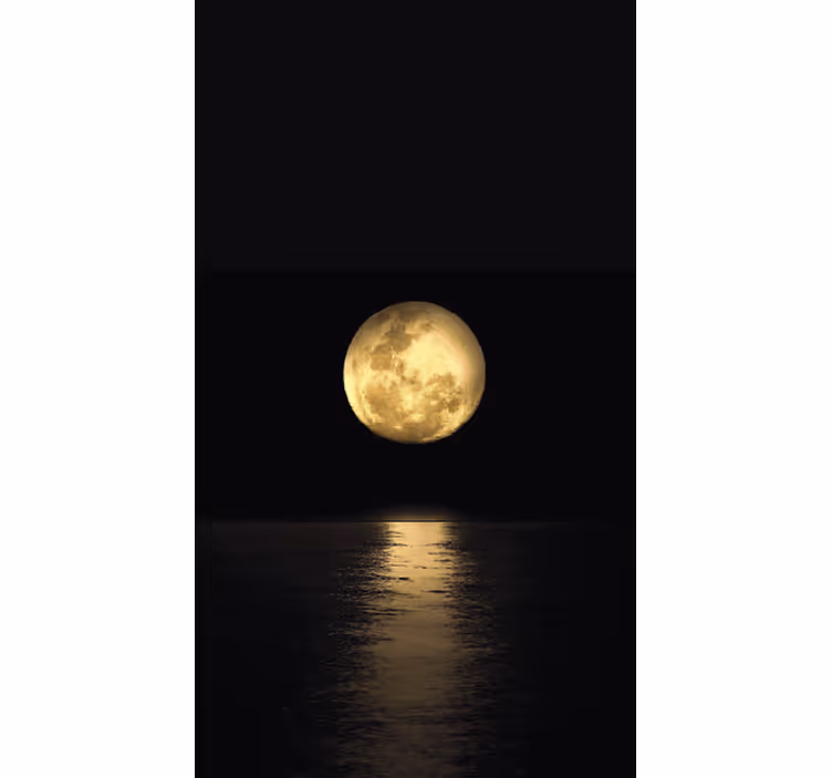Black roller blind in golden moonlight - TenStickers