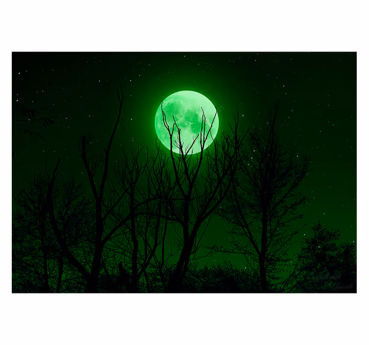 Black roller blind with green moon design - TenStickers
