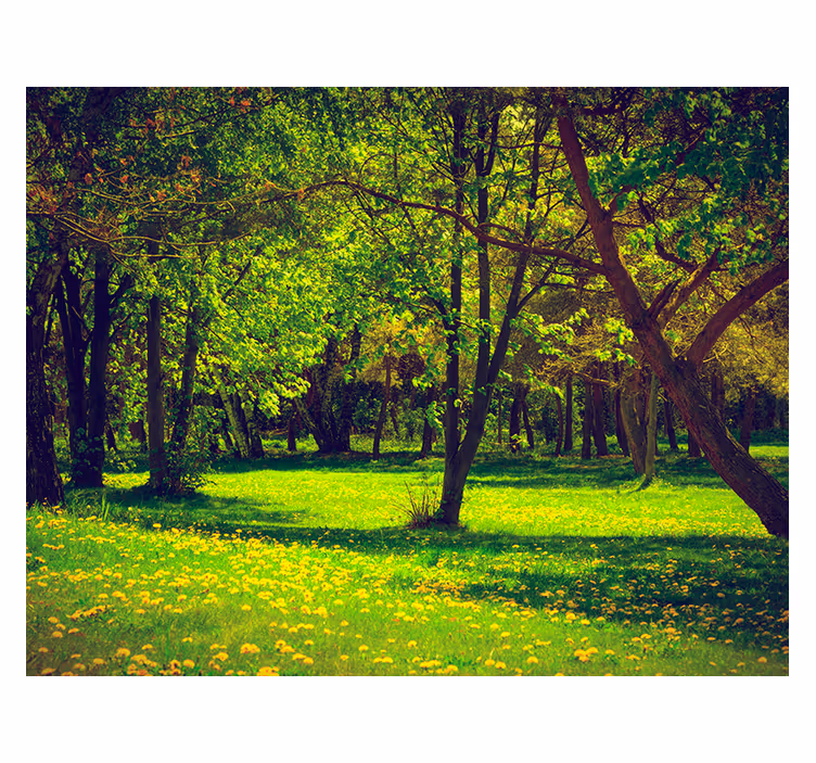 Blind green tranquil woodland scene - TenStickers