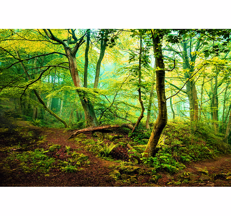 Living room blind in vibrant green - TenStickers
