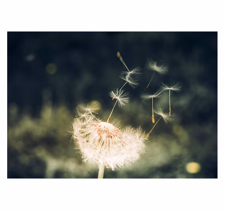Dandelion seeds living room blind - TenStickers