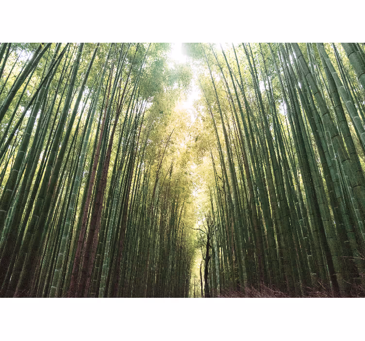 Living room blind bamboo forest serenity - TenStickers
