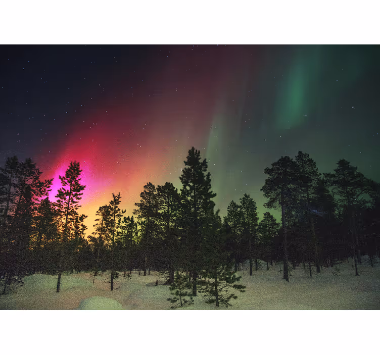 Living room blind northern lights over trees - TenStickers