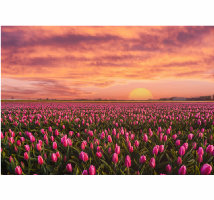 Living room blind sunrise and tulips - TenStickers