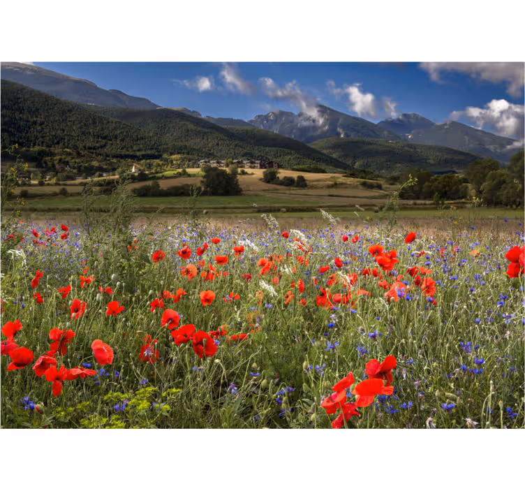 Living room blind pretty prairie field with flowers - TenStickers
