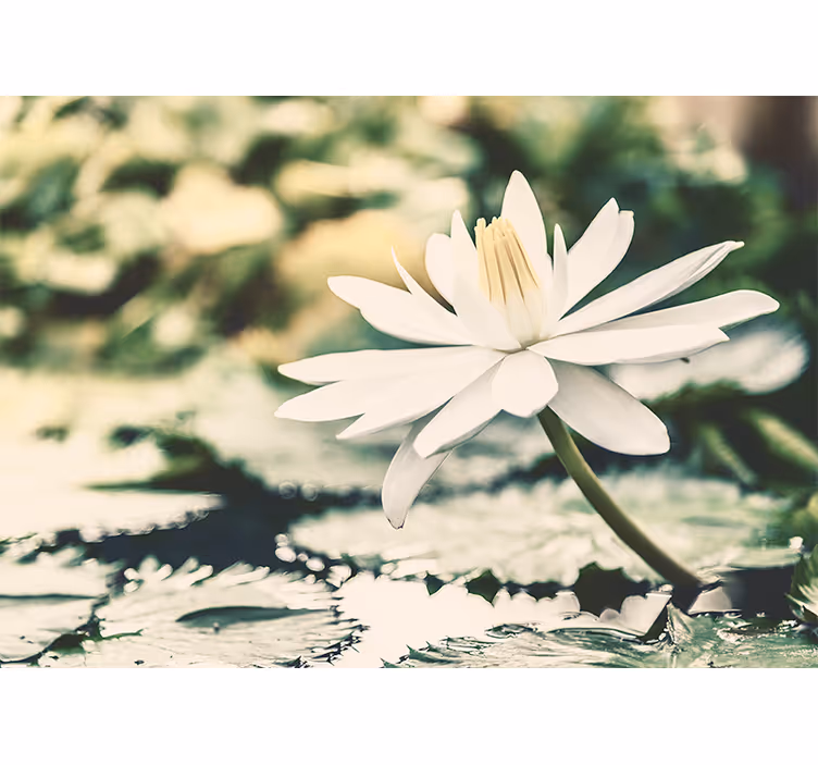 Living room blind white lotus on lake - TenStickers