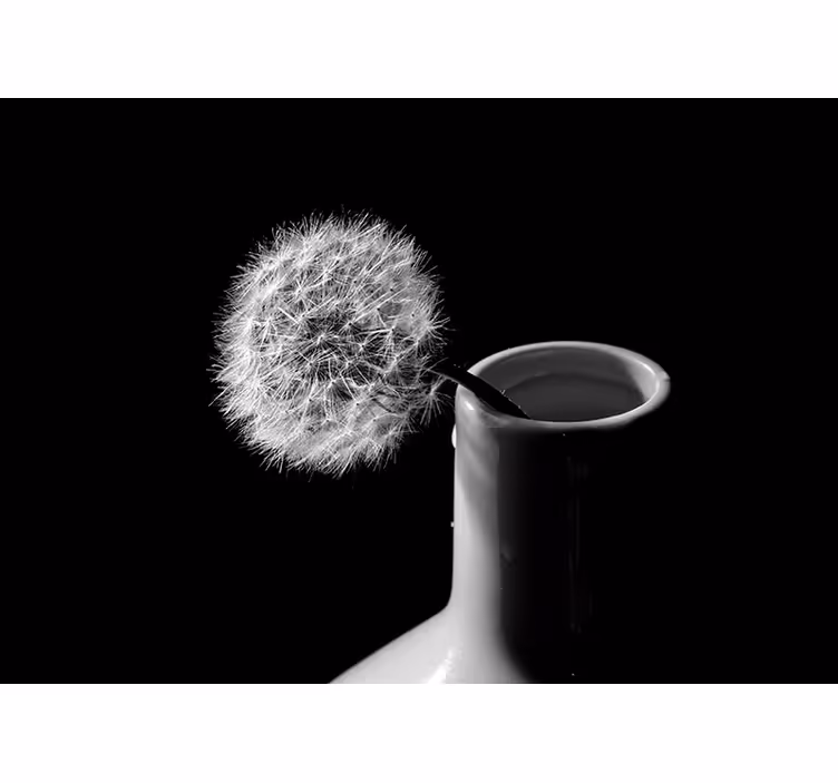 Living room blind dandelion in a pot - TenStickers