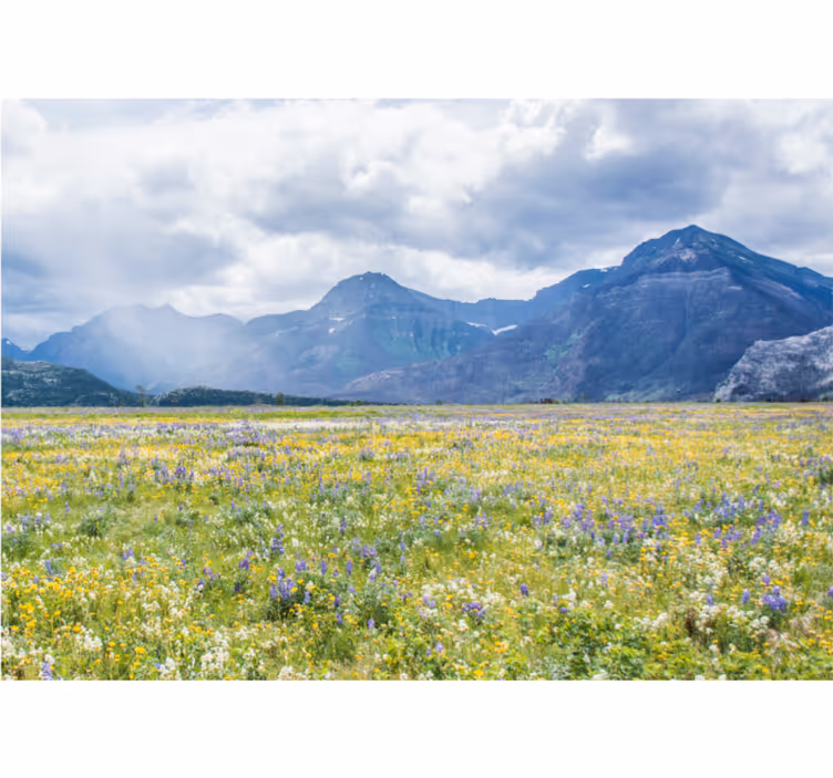 Living room blind small flower field - TenStickers