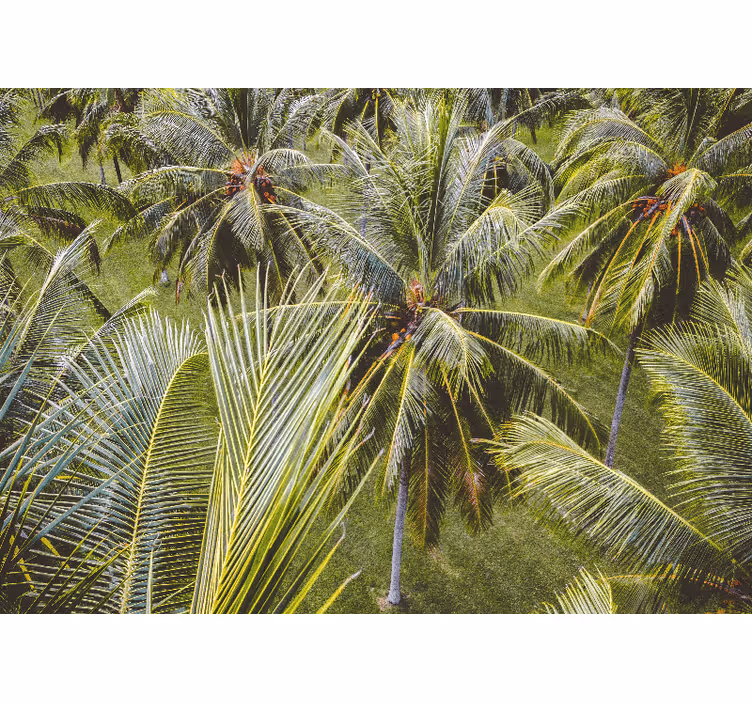 Living room blind with green palm tree design - TenStickers