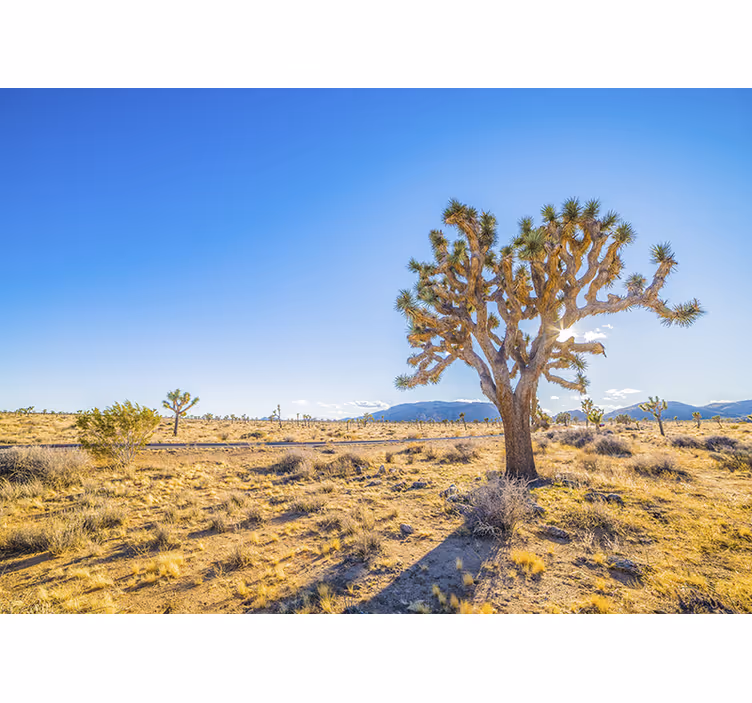 Living room blind in desert design with tree - TenStickers