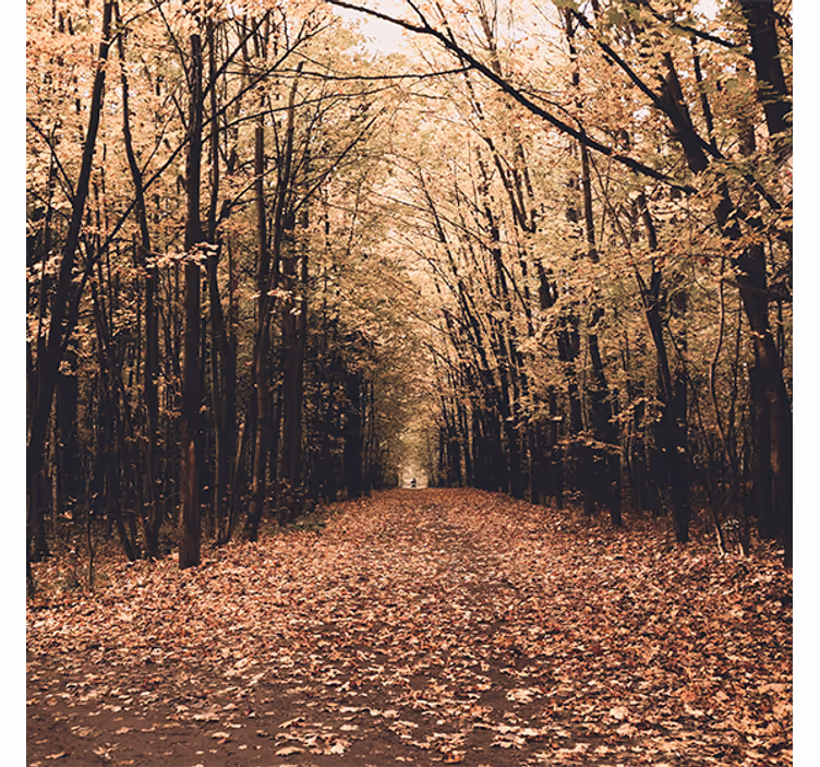 Living room blind nature's beautiful autumn forest - TenStickers
