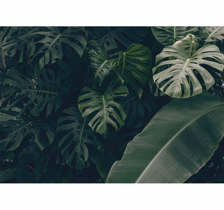 Beautiful green jungle forest living room blind - TenStickers