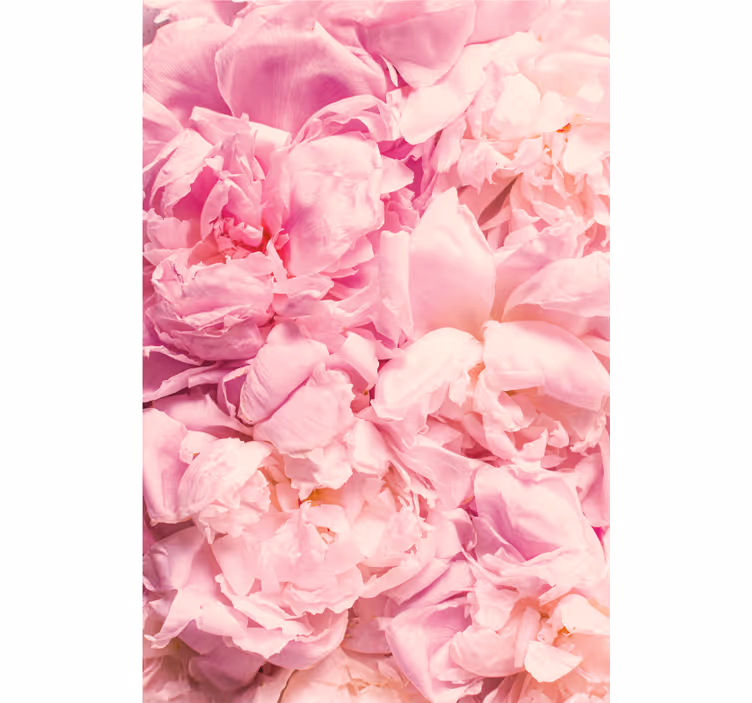 Blind bedroom realistic pink peony flowers - TenStickers