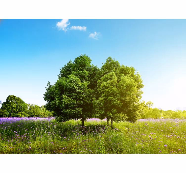 Living room blind tall spring tree - TenStickers