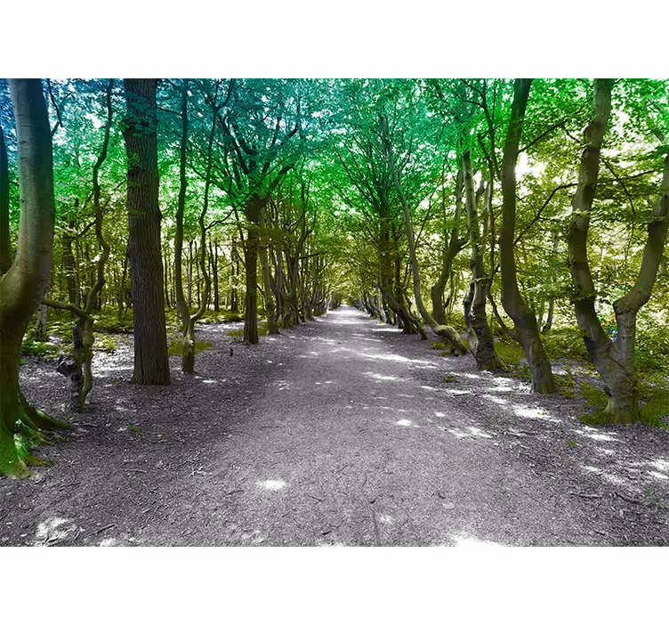 Living room blind sunny green forest path - TenStickers