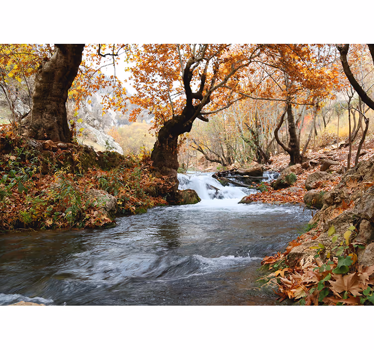Blind bedroom autumn river flowing fast - TenStickers