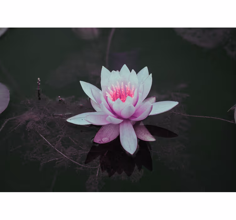 Blind bedroom pink vintage lotus - TenStickers