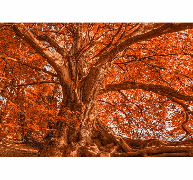 Blind bedroom vibrant autumn tree - TenStickers