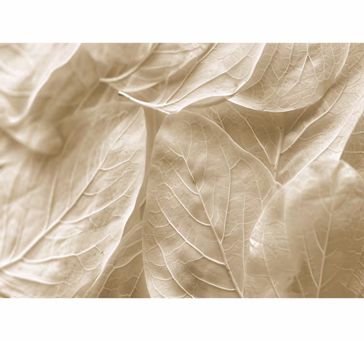 Blind bedroom with large beige leaves - TenStickers