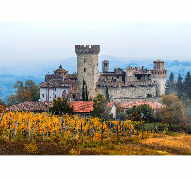 Blind bedroom beautiful vineyards design in emilia-romagna - TenStickers