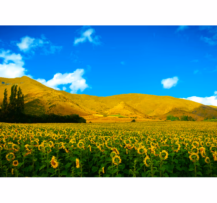 Blind bedroom spring landscape with farmland - TenStickers