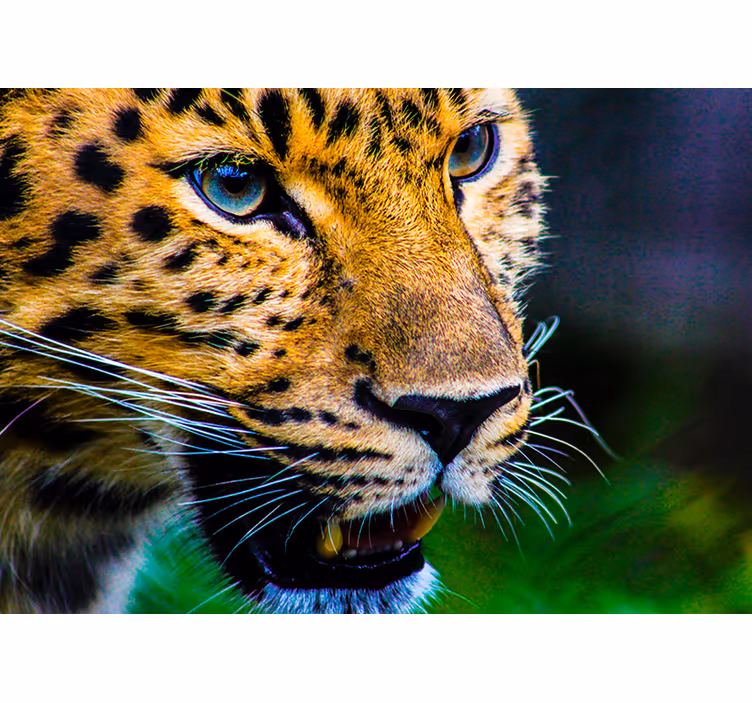 Blind bedroom leopard print design - TenStickers