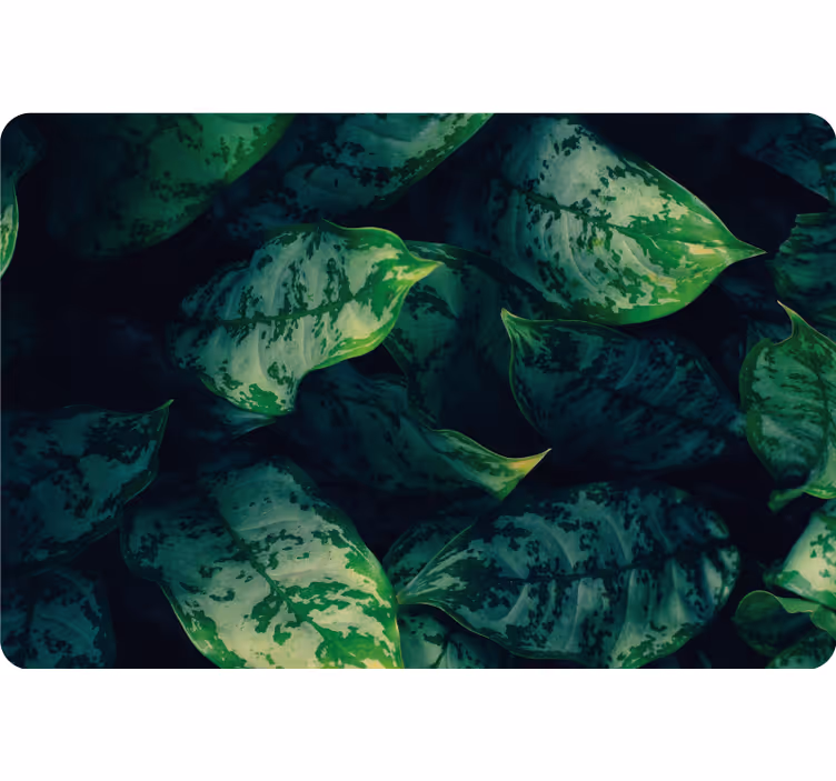 Blind bedroom maranta leaves design - TenStickers