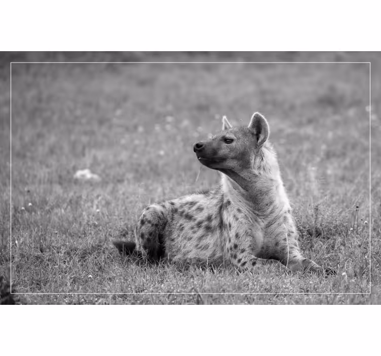 Blind bedroom cute hyena design - TenStickers