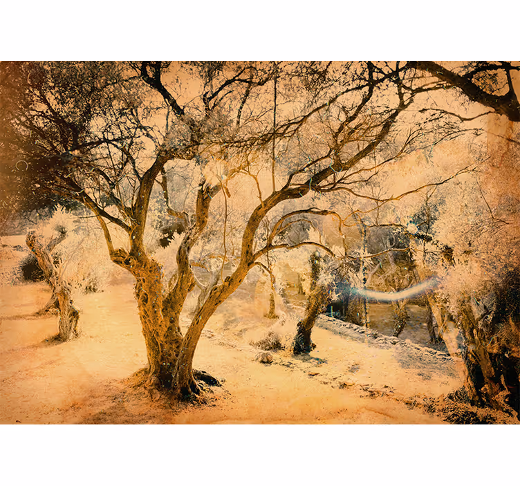 Blind bedroom in a picturesque olive grove - TenStickers