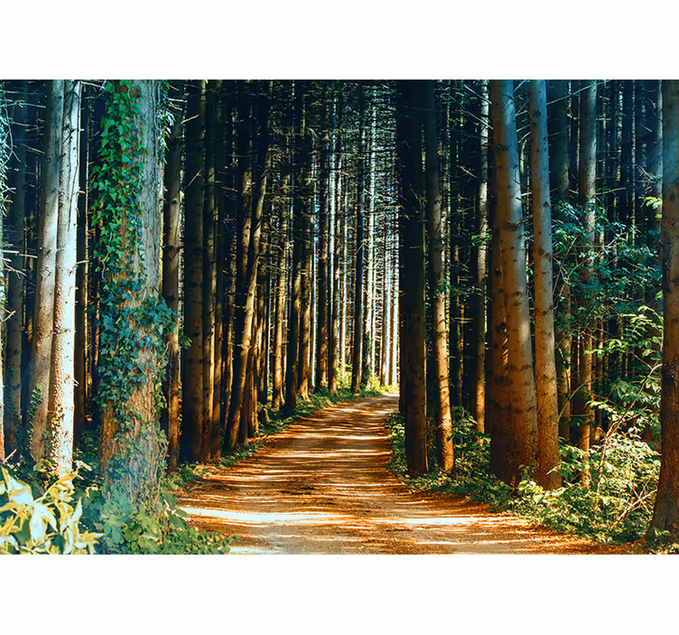 Blind bedroom nature path tree gate decor - TenStickers