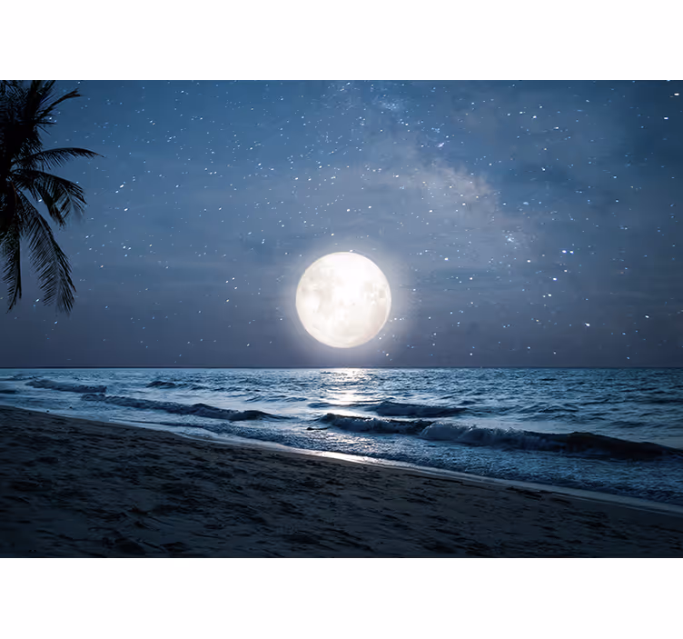 Blind bedroom beautiful moonlight over ocean - TenStickers
