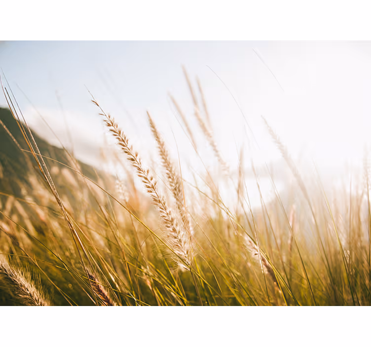Blind bedroom cozy soft warm grass - TenStickers