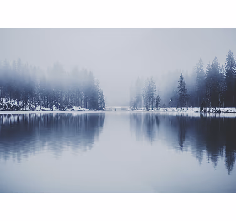 White window blind winter foggy forest design - TenStickers