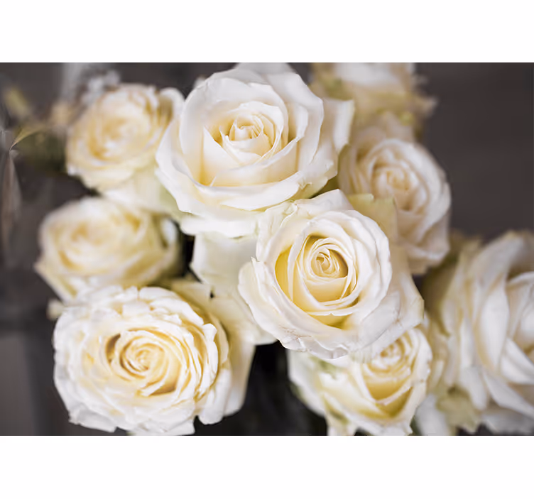 White window blind with white roses background - TenStickers