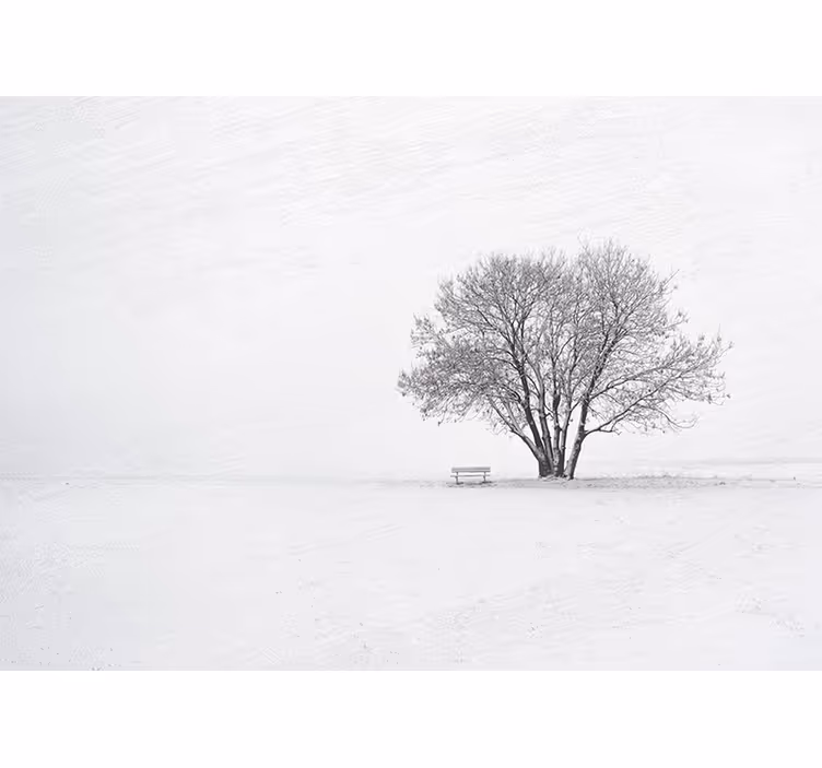 White window blind scandinavian winter snow tree design - TenStickers