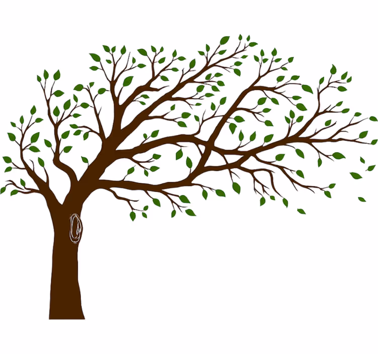White window blind colourful tree of truth - TenStickers