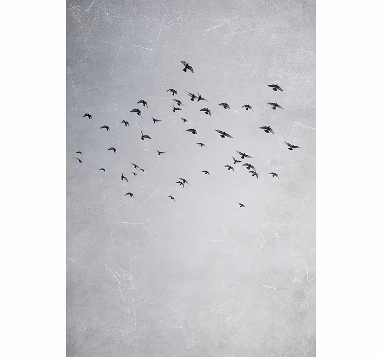 Blind bedroom soaring with freedom - TenStickers