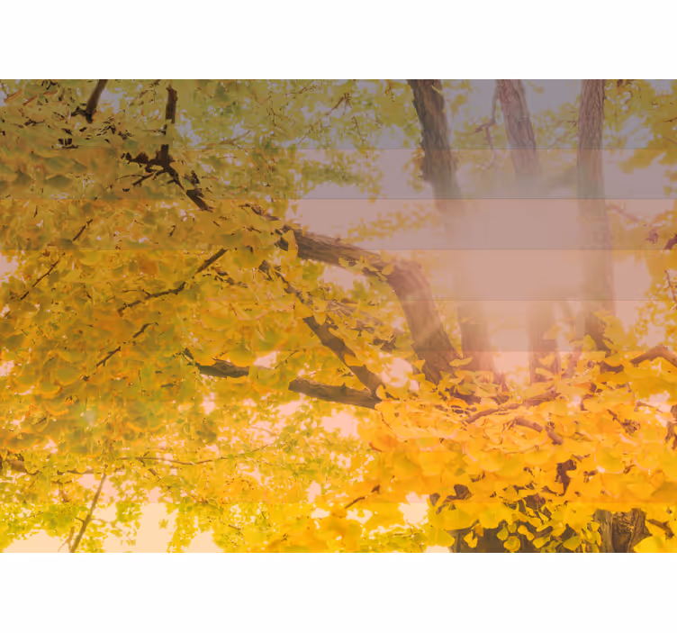 Blind children enjoy a sparkling autumn scene - TenStickers