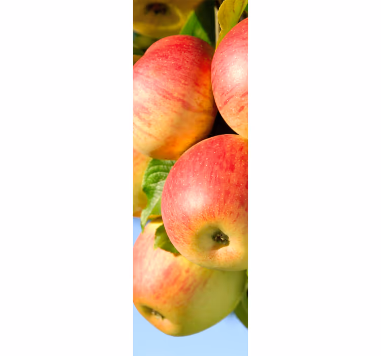 Blind kitchen decorative vinyl apples on tree - TenStickers